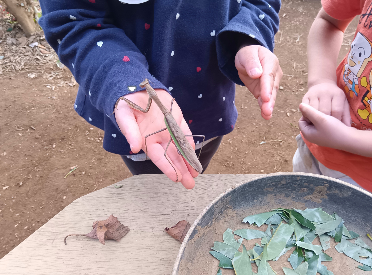 掌に虫を乗せる