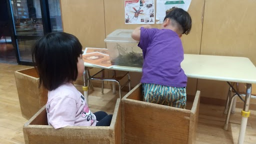 虫かごの中を観察する