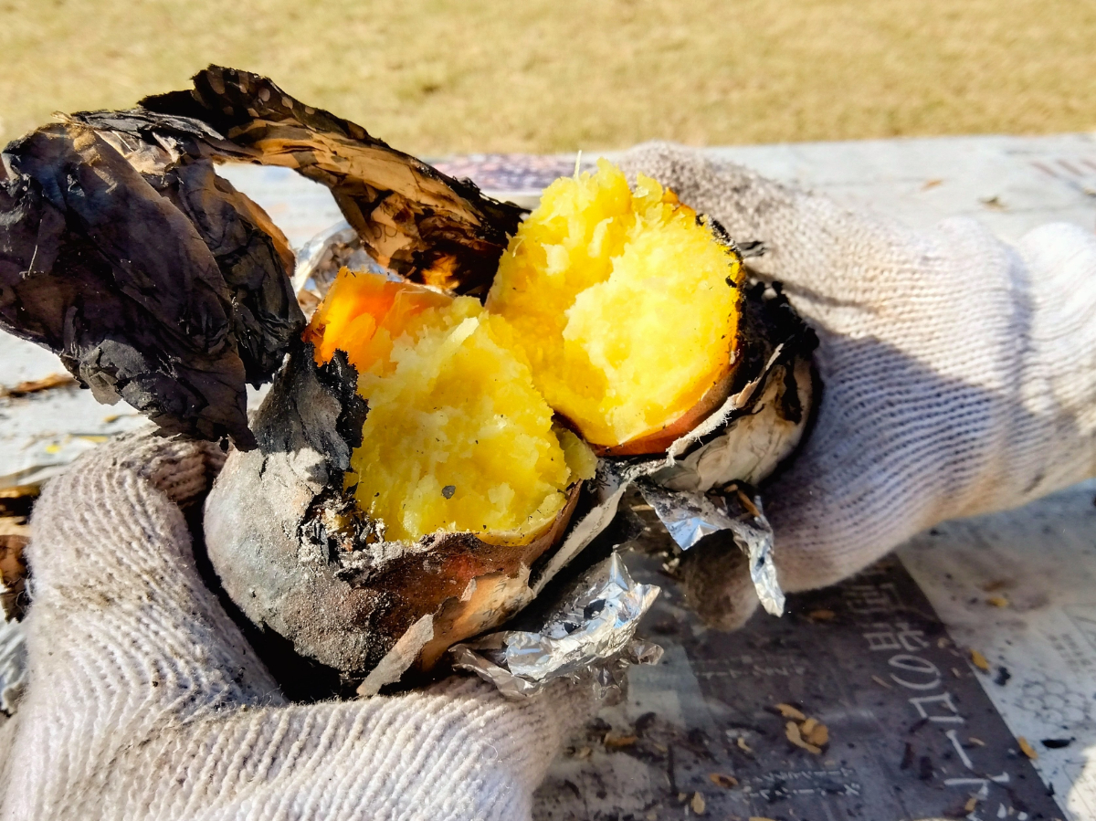 出来上がった焼き芋