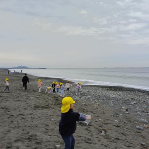 海岸で漂流物をあつめる