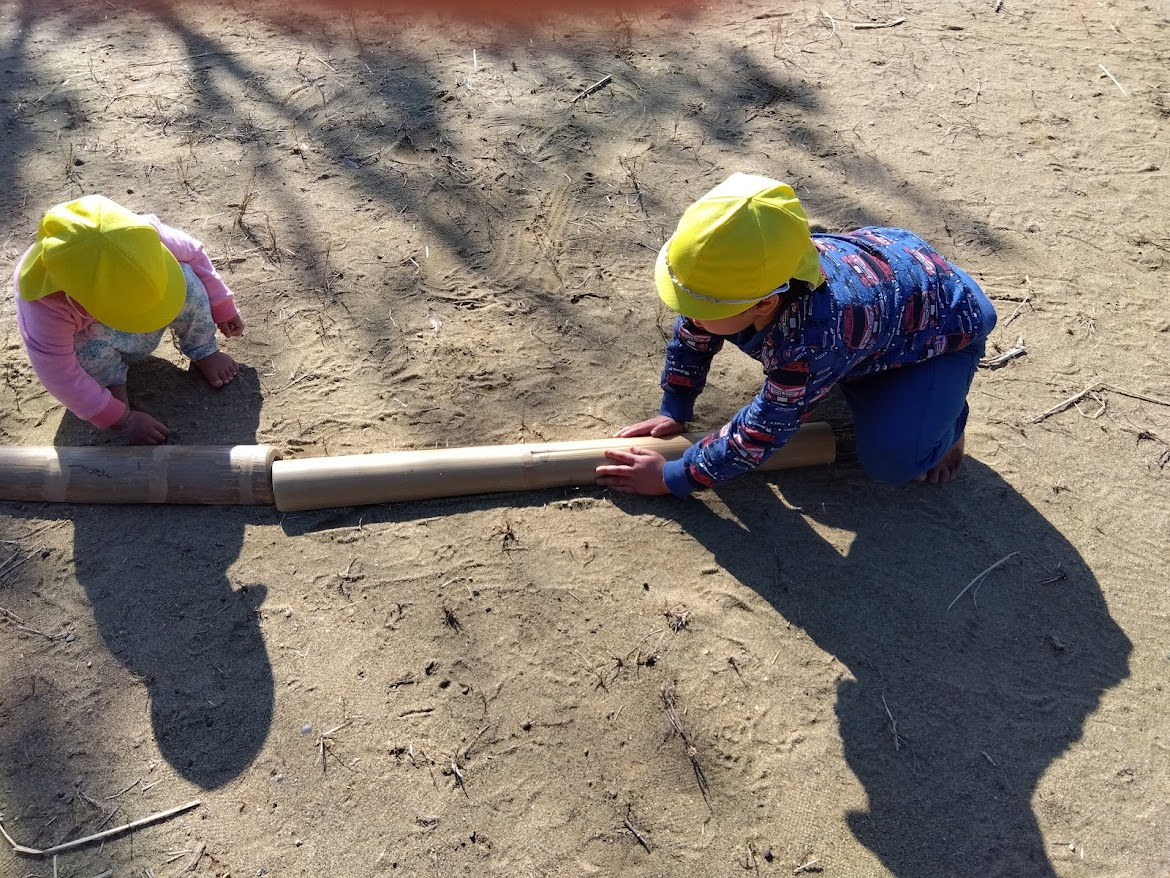 竹を地面に並べる