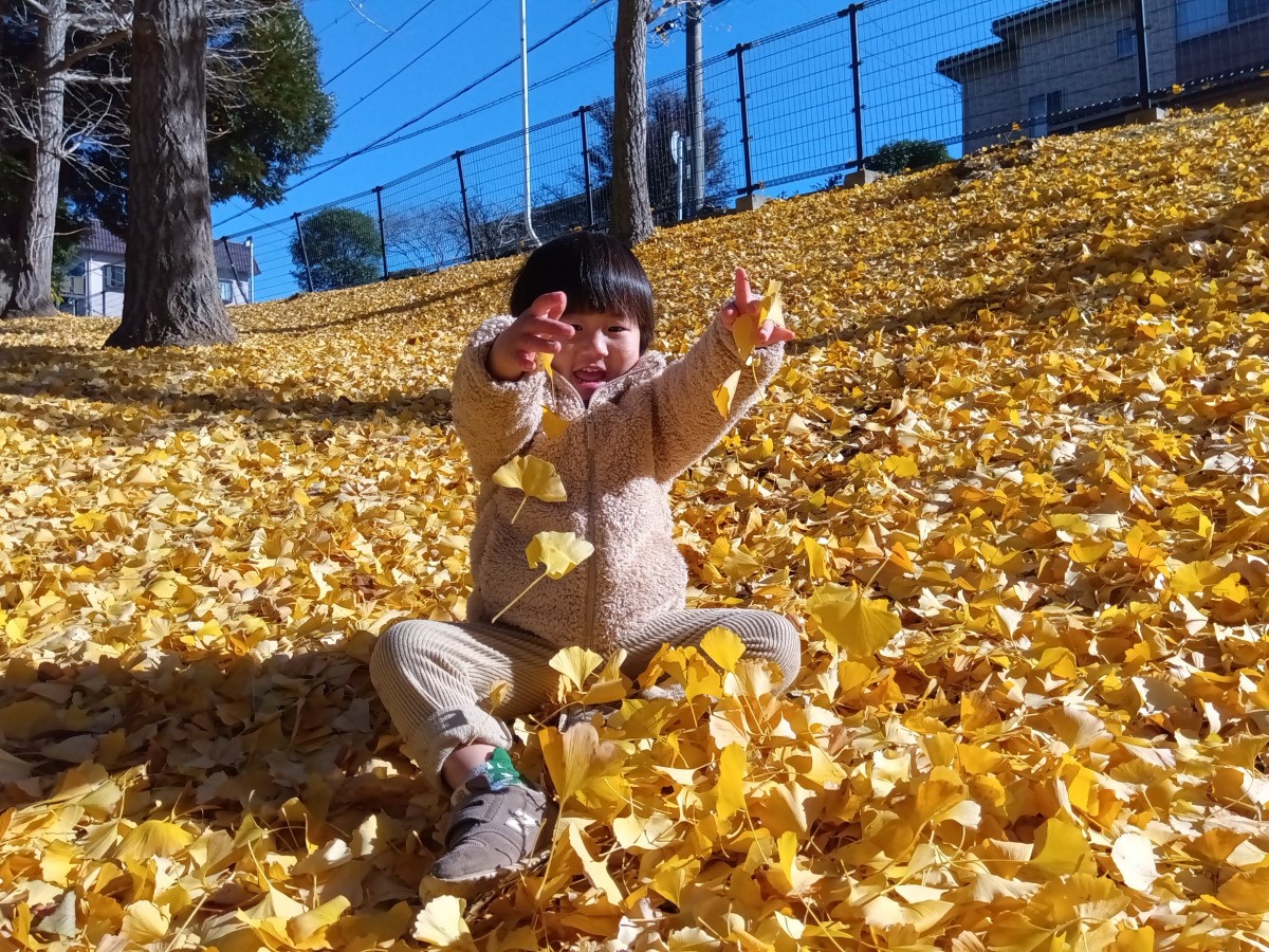 イチョウの葉を散らして遊ぶ子ども
