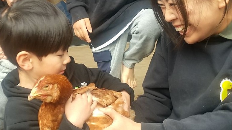 鶏を抱っこする子ども