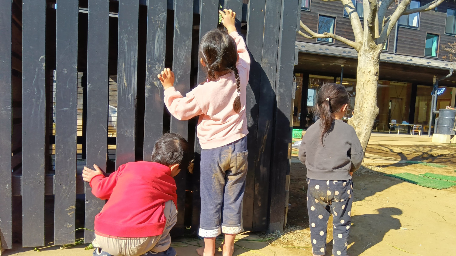 鶏小屋を覗く子どもたち