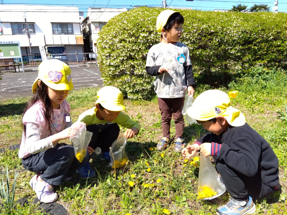 たんぽぽを集める子どもたち