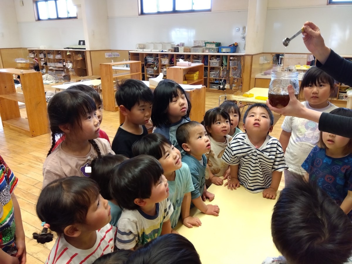 出来上がったたんぽぽシロップを見る子どもたち