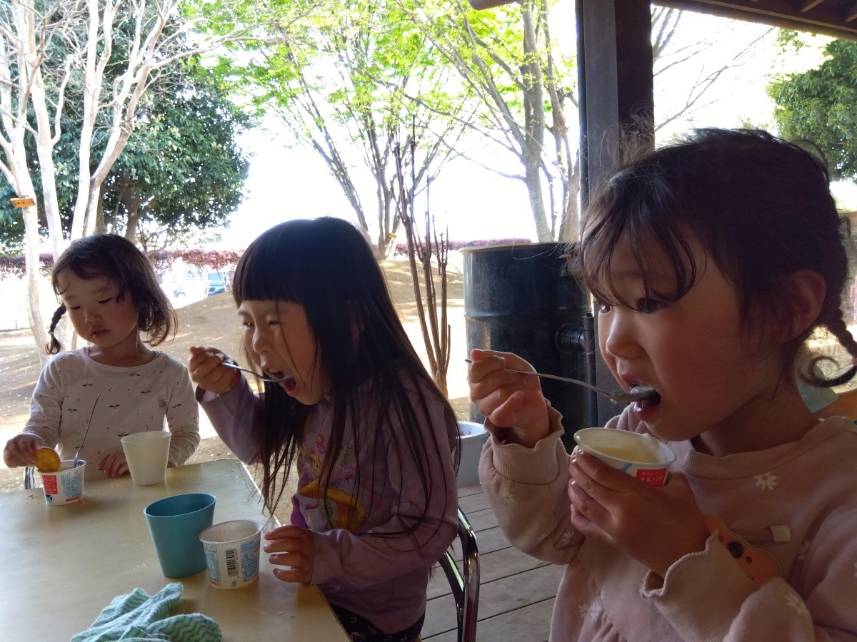 出来上がったたんぽぽシロップをヨーグルトにかけて食べる子どもたち