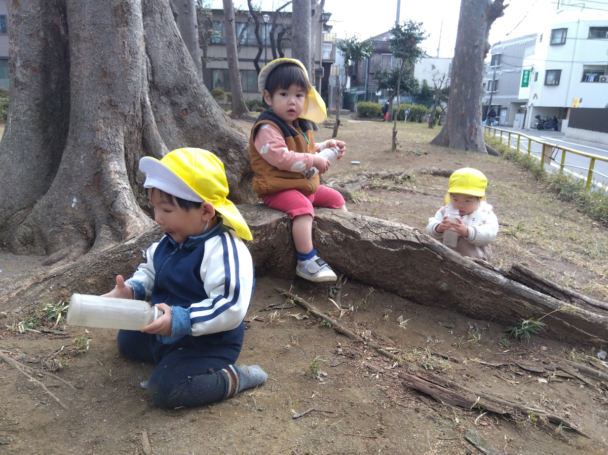 木の実を拾うようす