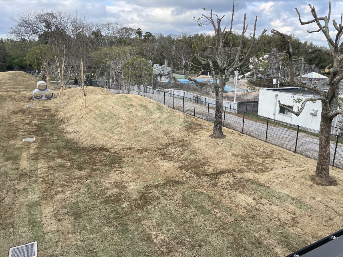 百目木どろんこ保育園／発達支援つむぎ 百目木ルームの園庭