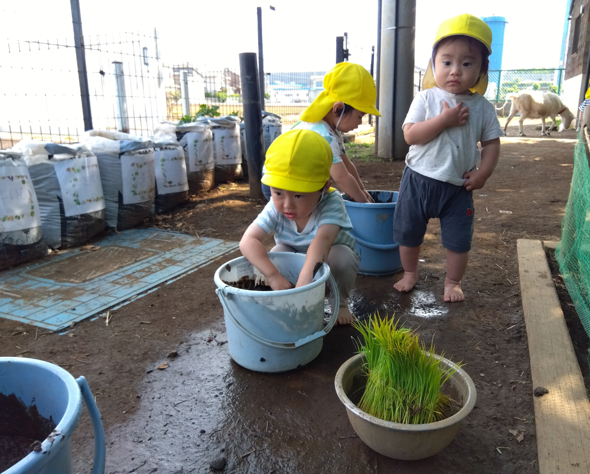土作りをする子どもたち