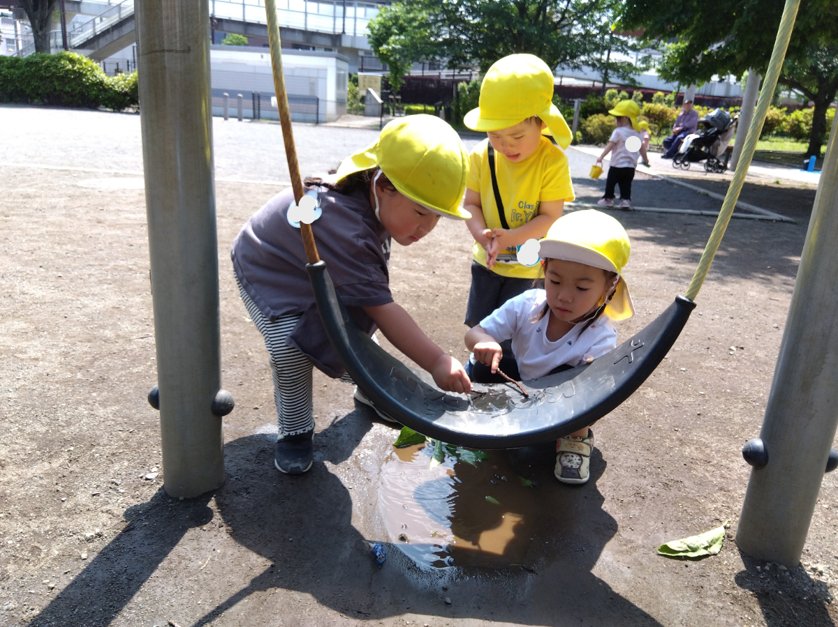 水たまりを枝でつつく様子
