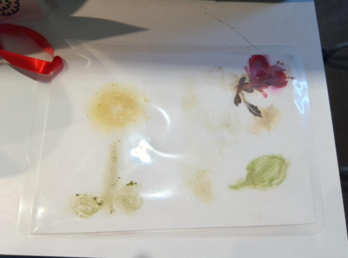 自然物を使ったしおりづくり