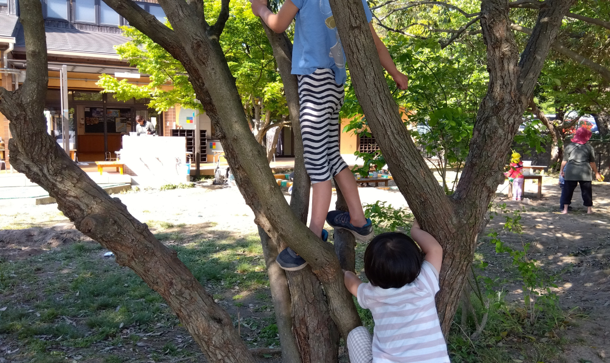 木登りをする子どもたち
