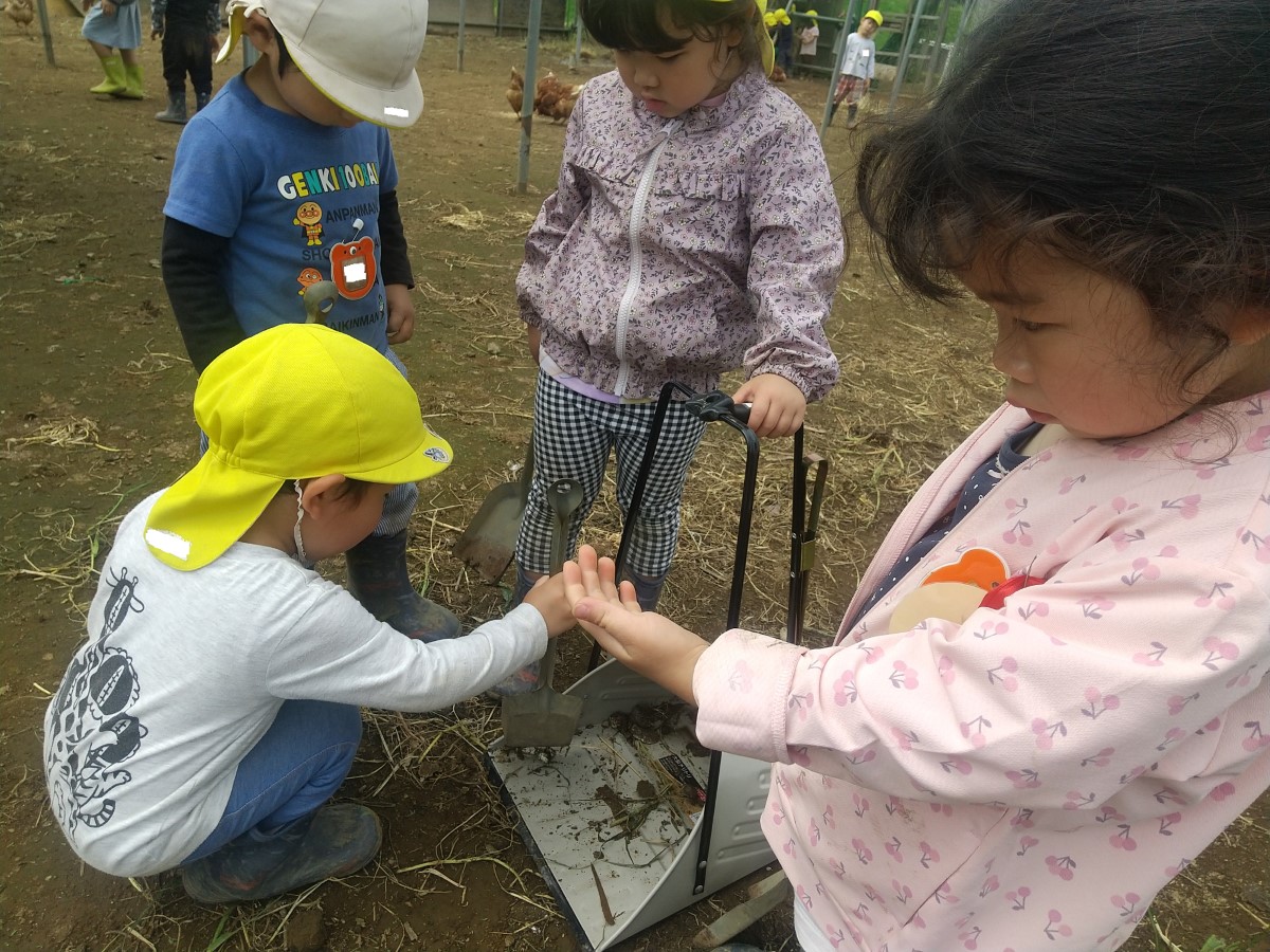 鶏の糞を掃除する子どもたち