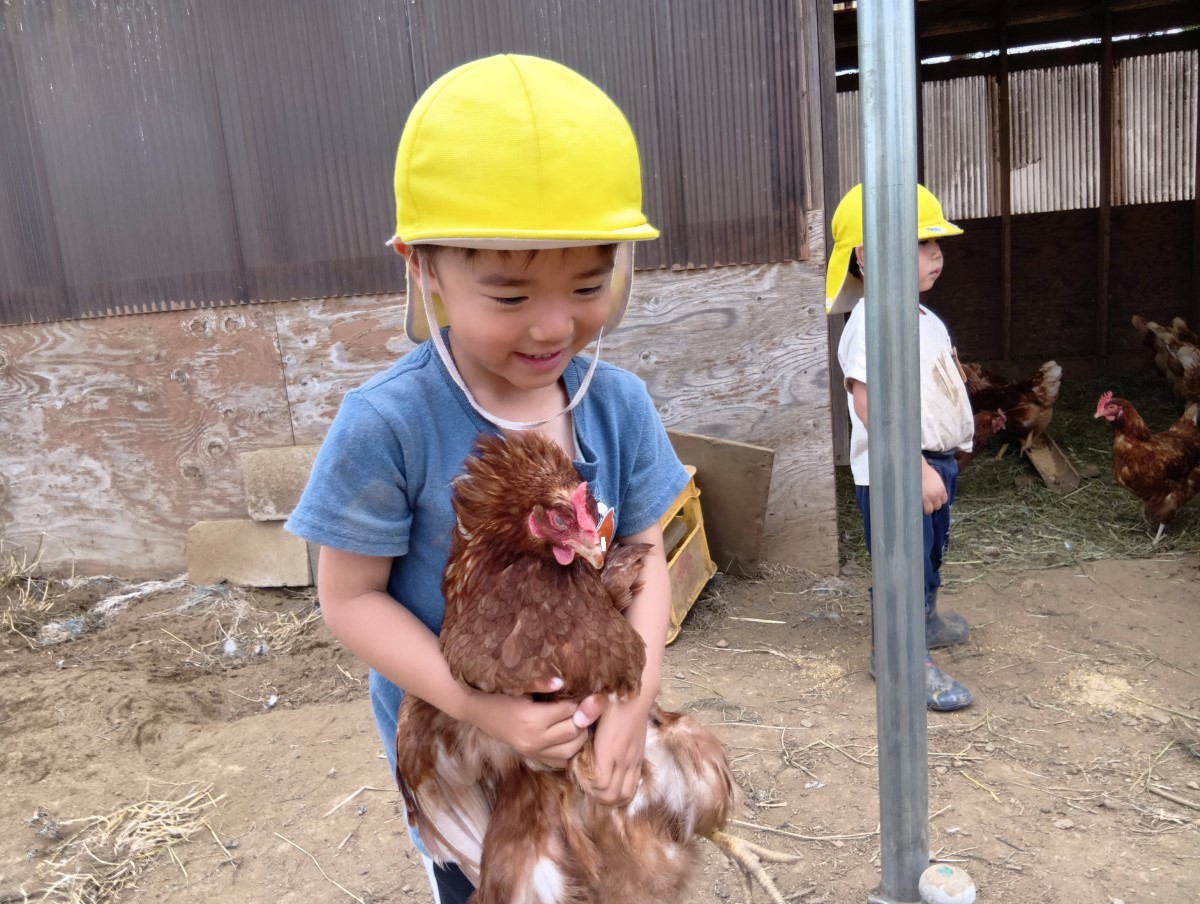 鶏を抱っこして嬉しそうな子ども