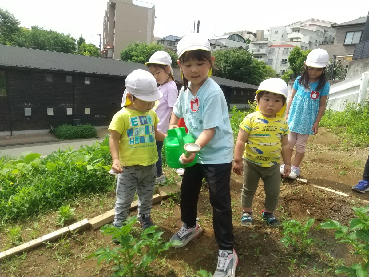 畑に水をあげる子どもたち