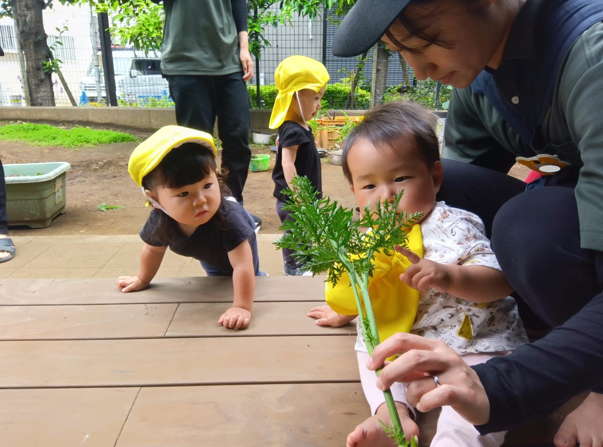 収穫した野菜に触れる子どもの様子