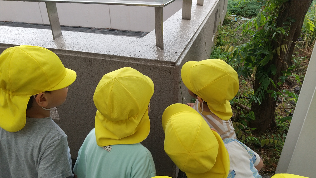 生き物を観察する子どもたちの様子