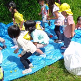 発達支援つむぎ 宮下「梅シロップ作り」