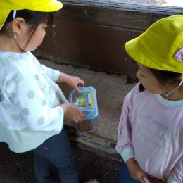 発達支援つむぎ 田無「生き物との触れ合いの大切さ」