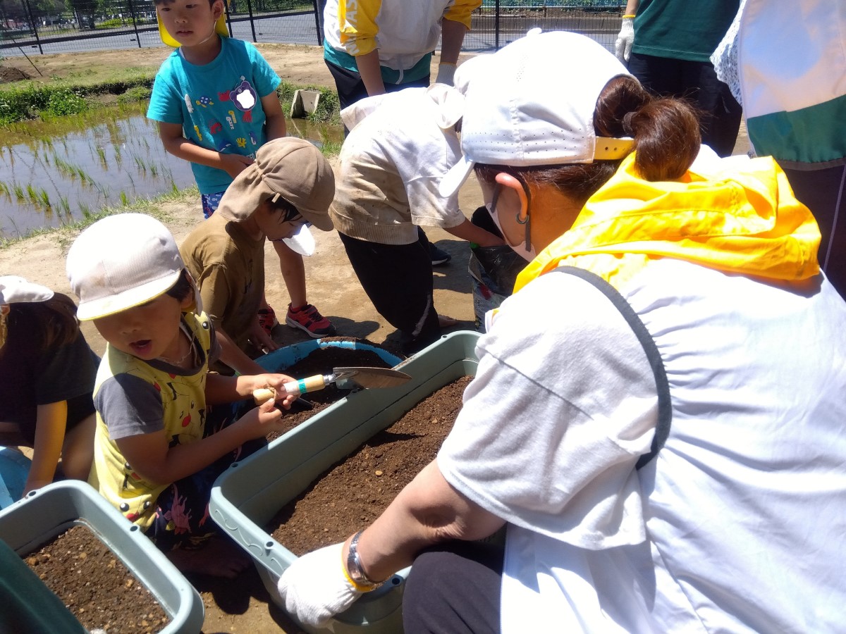 プランターに土を入れる子どもたち