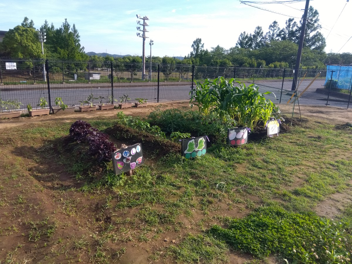 発達支援つむぎ 内箕輪ルームの畑