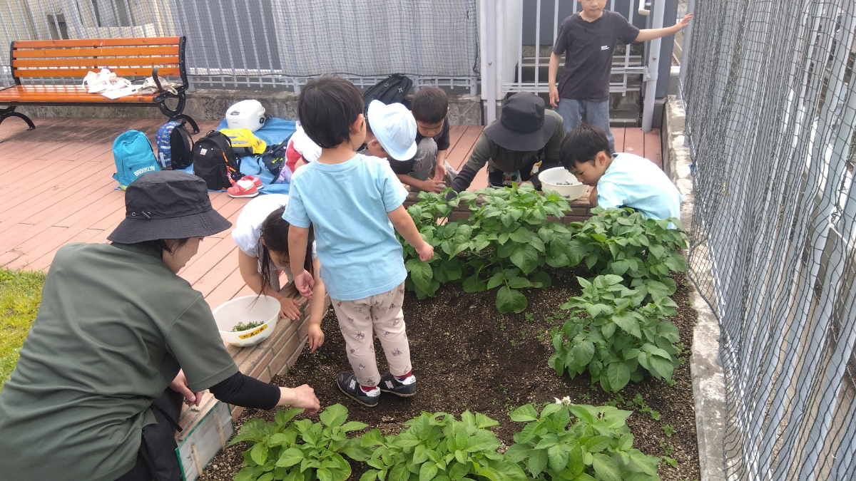 雑草抜きをする子どもたち