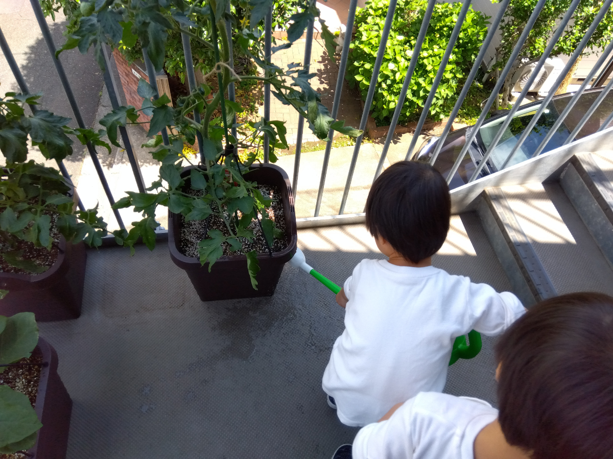 水やりをする子ども