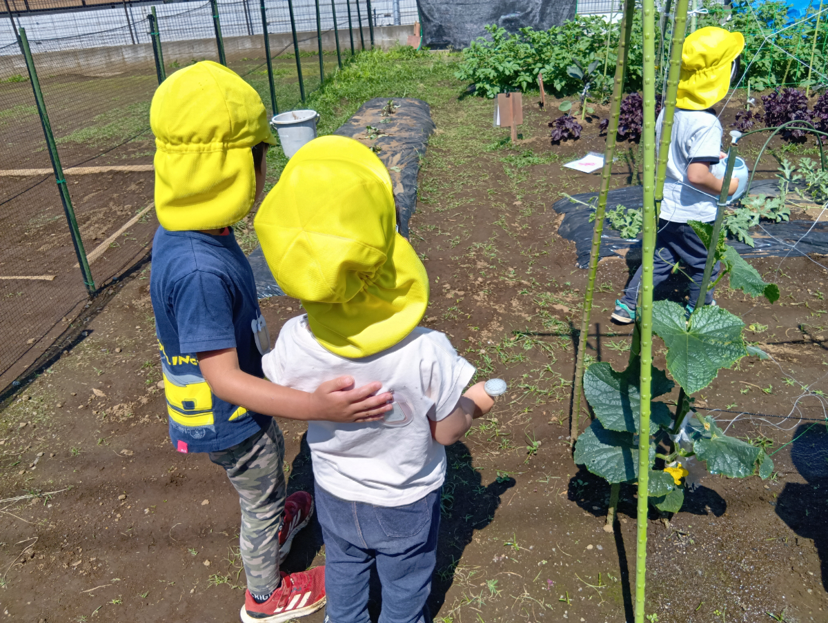畑に撒く水を運ぶ子どもたち