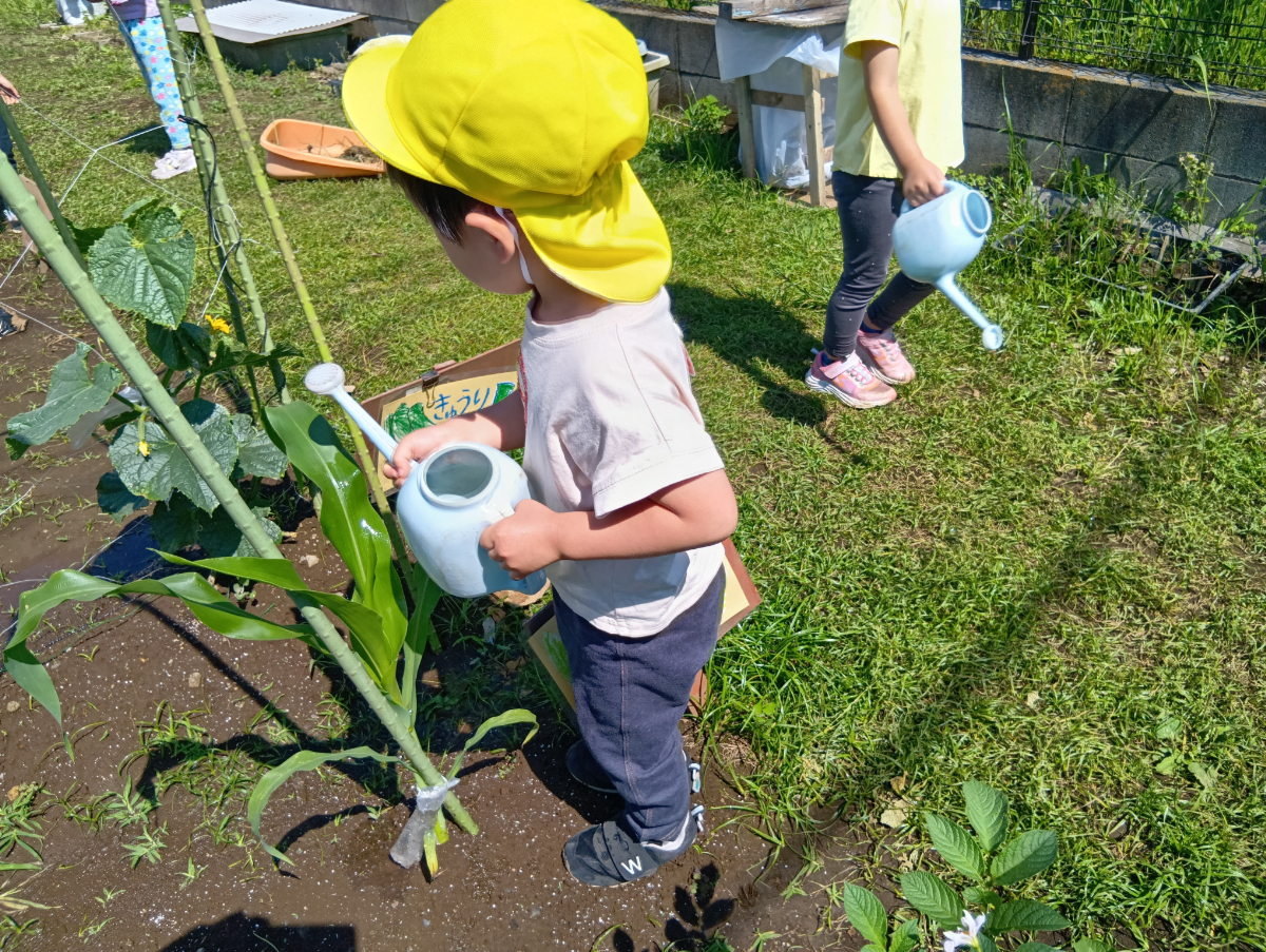水やりをする子ども
