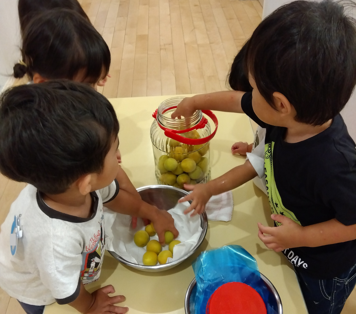 瓶に梅を入れる子どもたち