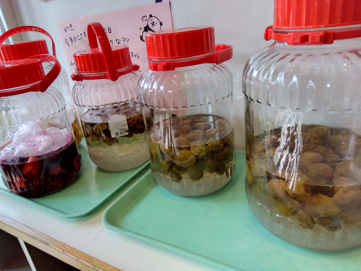 瓶の中で浸かっている梅