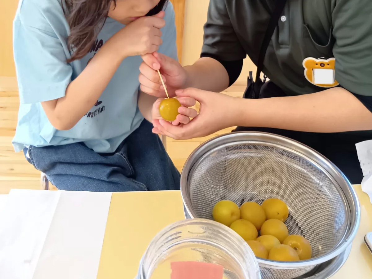 スタッフと一緒に梅のヘタを取る子ども