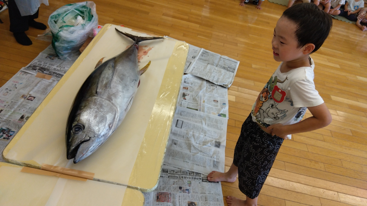 まぐろを近くで見る子ども