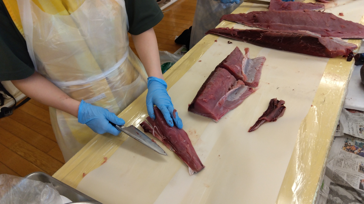 まぐろが裁かれる様子