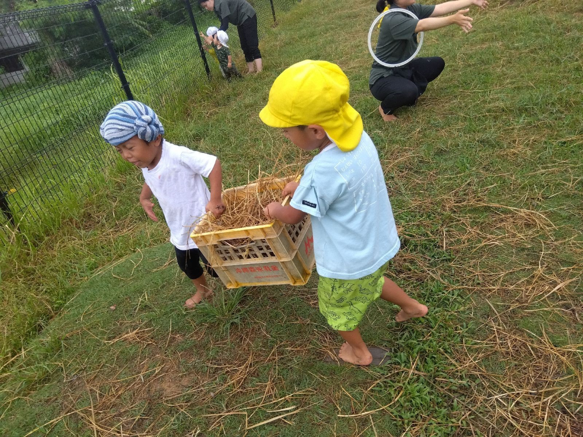 ヤギへのエサを協力して運ぶ子どもたち