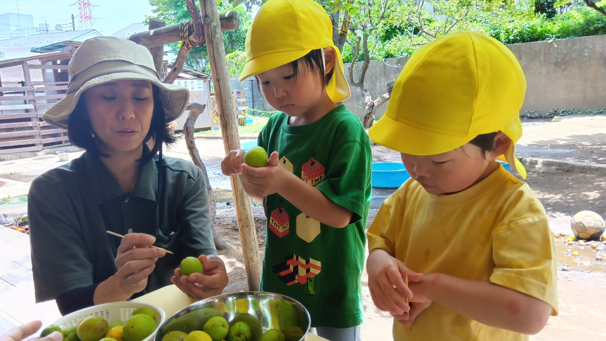 竹串で梅のヘタを取る子どもたち