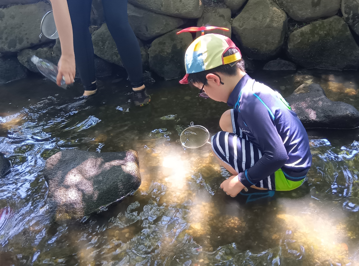 川に入って生き物を捕まえる子ども