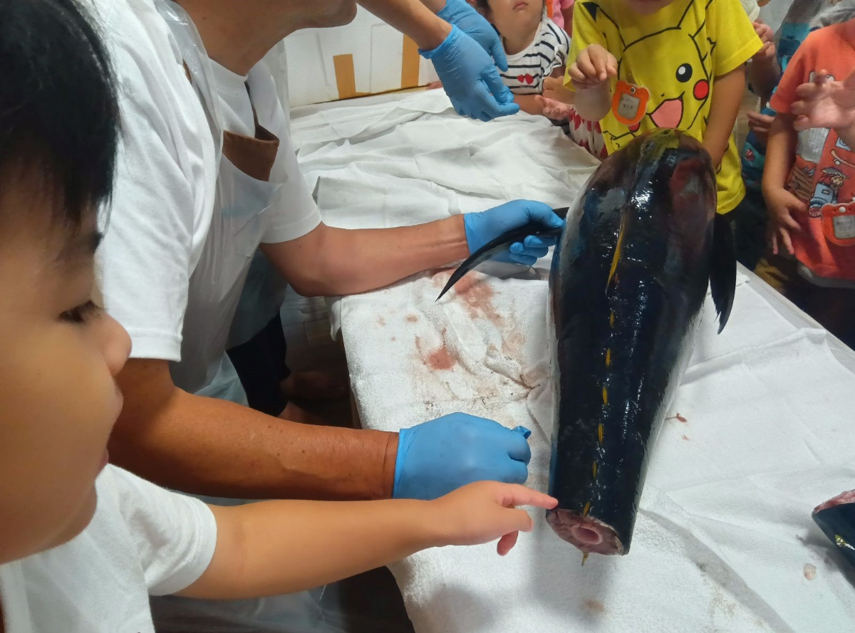 捌かれているマグロを見る子どもたち