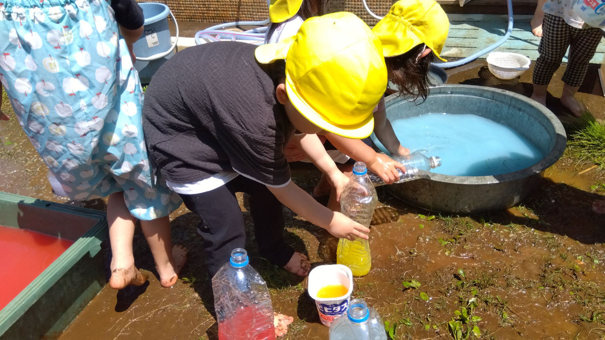 色水をペットボトルに入れる子ども