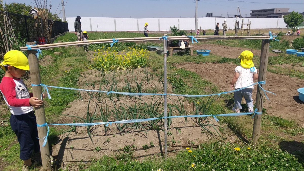 畑で遊ぶ子どもたち