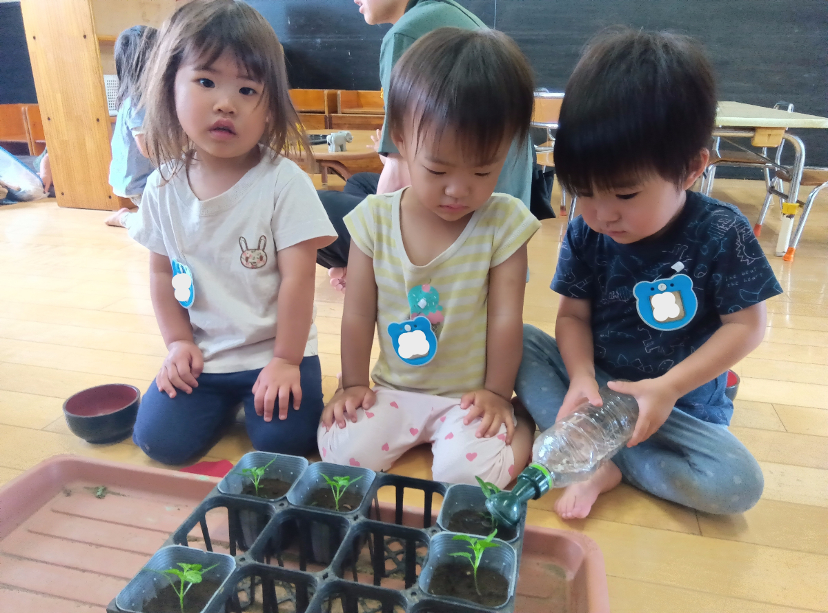 苗に水をあげる子どもたち