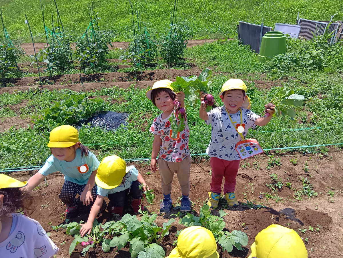 収穫した野菜を見せる子どもたち