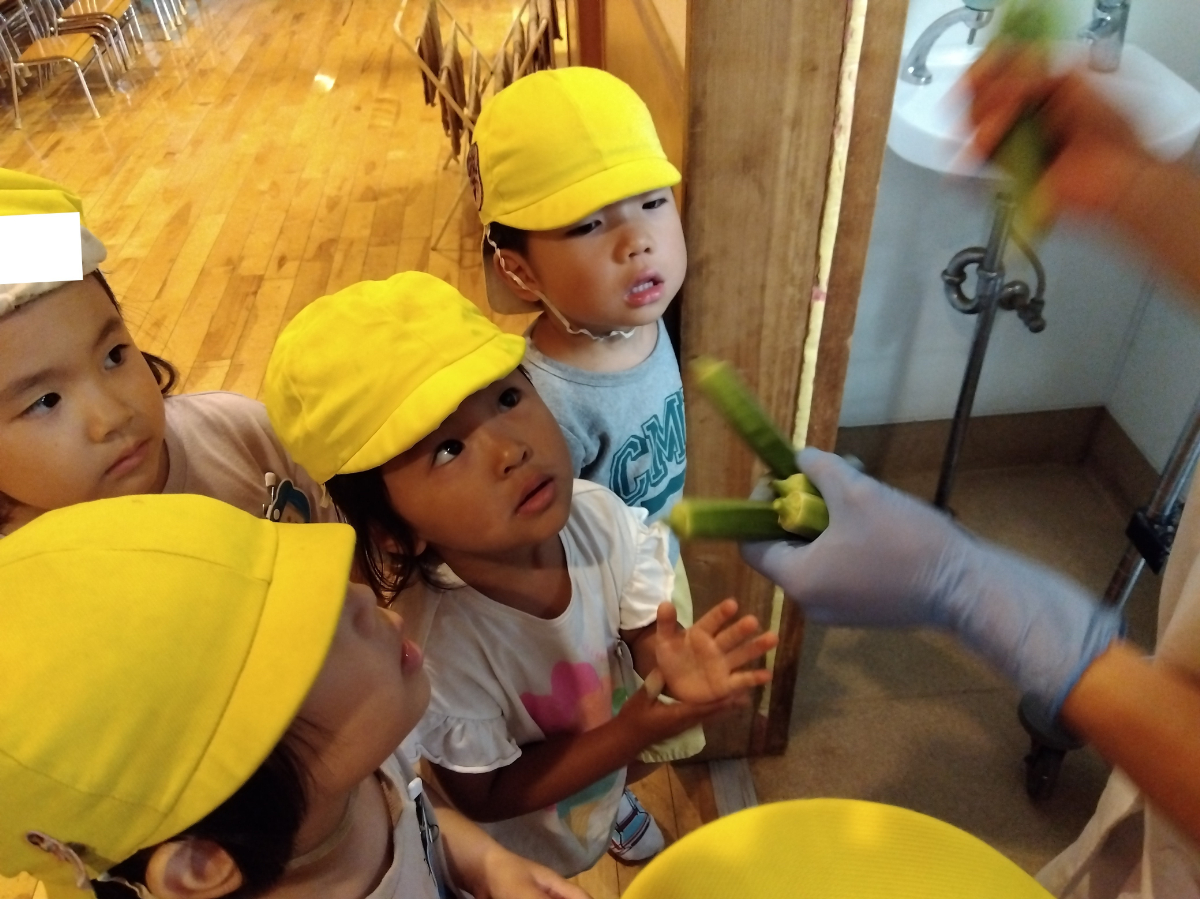 オクラの調理の方法を学ぶ子どもたち