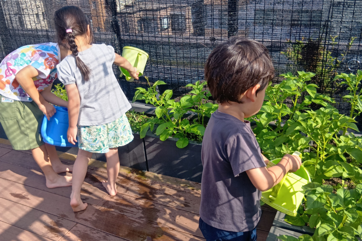 野菜に水やりをする子どもたち