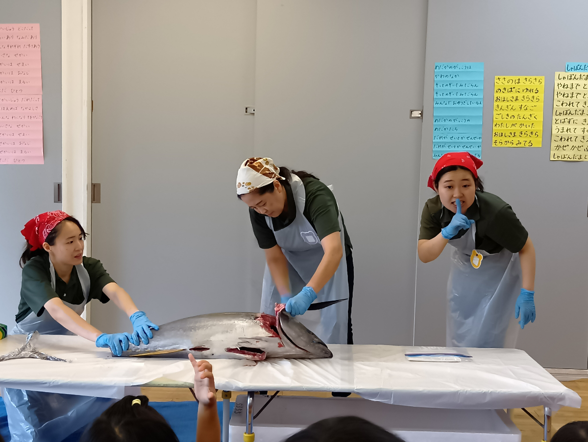 マグロの頭を切り落とす施設長