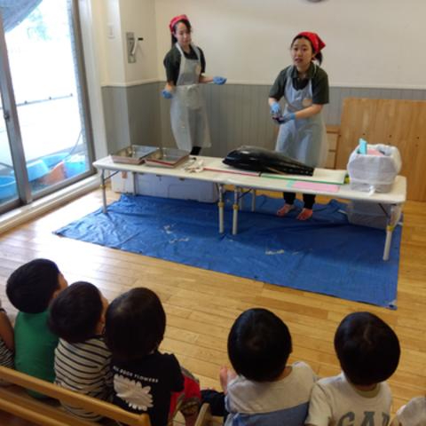 マグロの解体を見る子どもたち