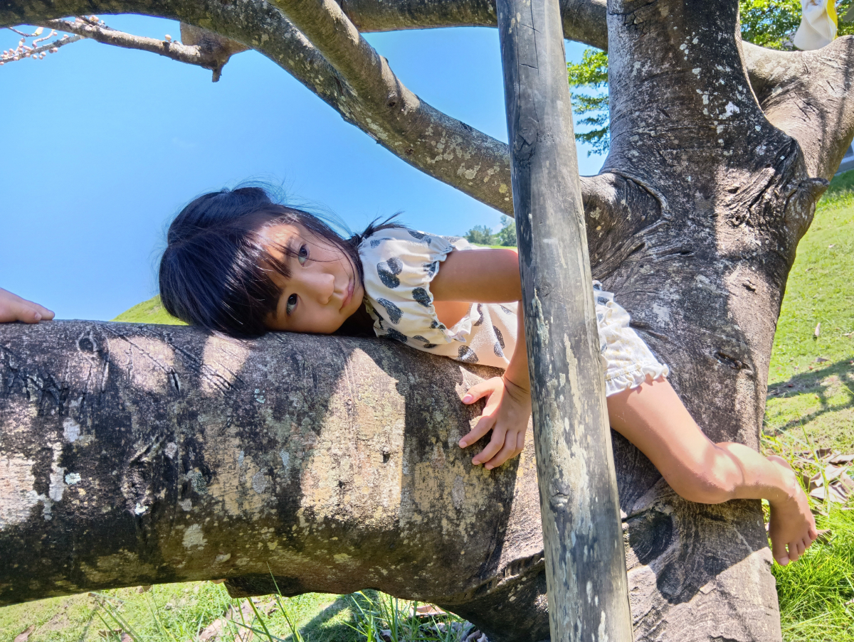木に登って寝転ぶ子ども