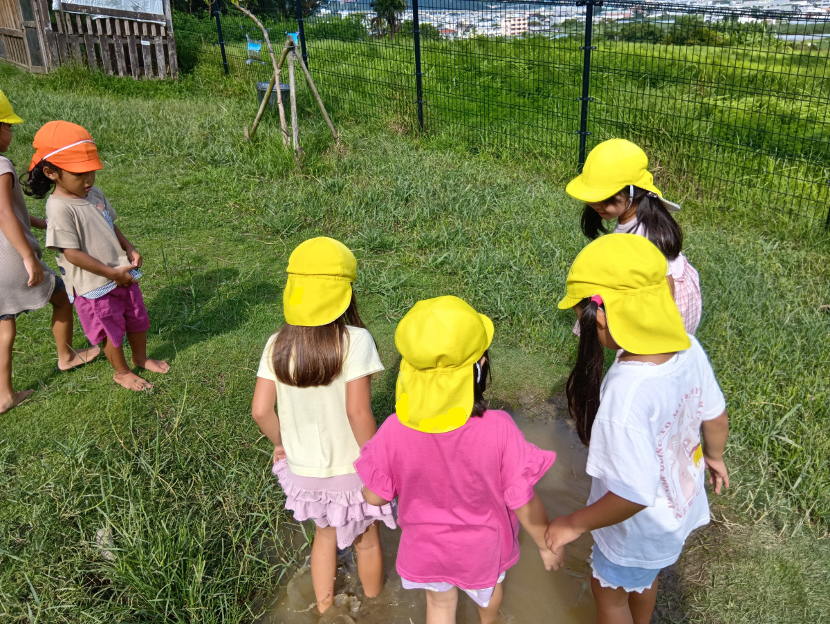 園庭の水たまりを歩く子どもたち