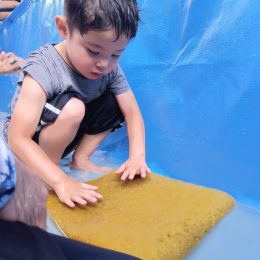 中里どろんこ保育園「夏の風物詩」